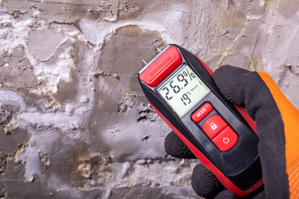 Best Water Damage Restoration  in Fremont, CA