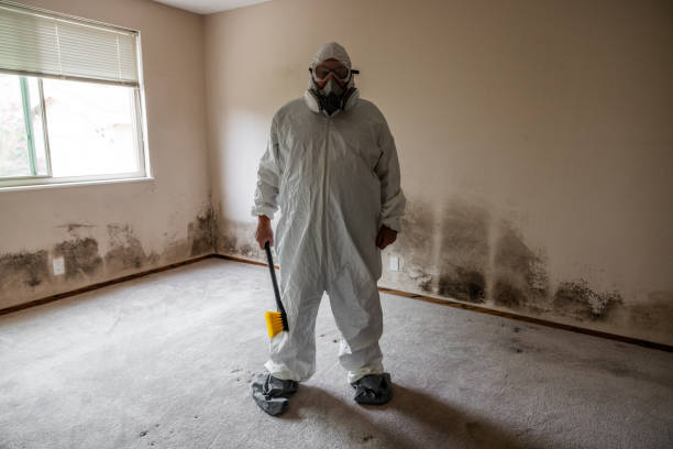 Best Commercial Mold Removal  in Fremont, CA