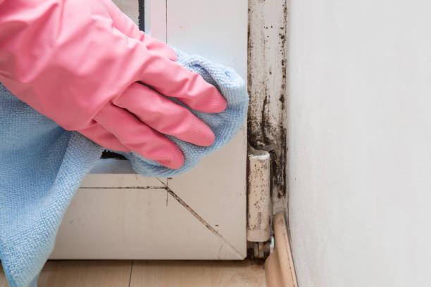 Best Mold Testing  in Fremont, CA